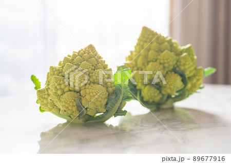 カリフラワーの変種、栄養たっぷりロマネスコのイメージカット写真｜Romanesco broccoli 89677916