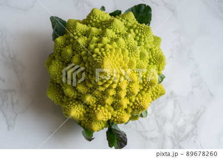 カリフラワーの変種、栄養たっぷりロマネスコのイメージカット写真｜Romanesco broccoli 89678260
