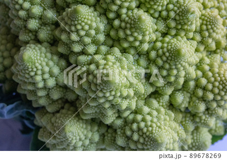 カリフラワーの変種、栄養たっぷりロマネスコのイメージカット写真｜Romanesco broccoli 89678269