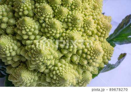 カリフラワーの変種、栄養たっぷりロマネスコのイメージカット写真|Romanesco broccoli カリフラワーの変種、栄養たっぷりロマネスコのイメージカット写真|Romanesco broccoli 89678270