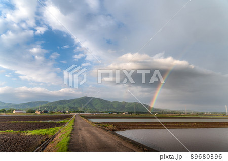 茨城県つくば市　雨上がりに濃い虹が出た風景 89680396