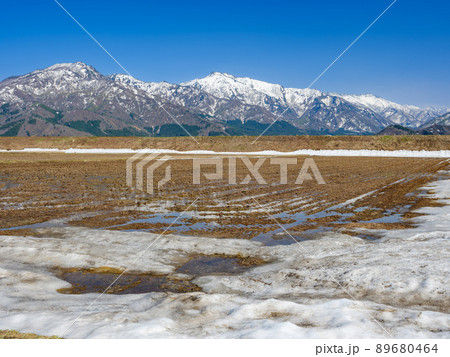 新潟_水田より上信越高原国立公園を望む 新潟_水田より上信越高原国立公園を望む 89680464