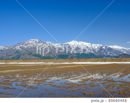 新潟_水田より上信越高原国立公園を望む 新潟_水田より上信越高原国立公園を望む 89680468