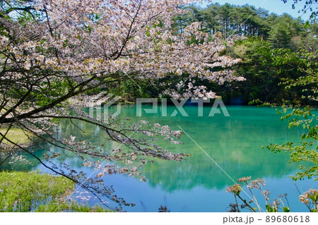 春の五色沼と磐梯山（福島県・北塩原村） 89680618