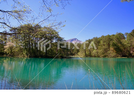 春の五色沼と磐梯山(福島県・北塩原村) 春の五色沼と磐梯山(福島県・北塩原村) 89680621