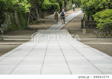 円覚寺の参道【神奈川県・鎌倉市】 89681074