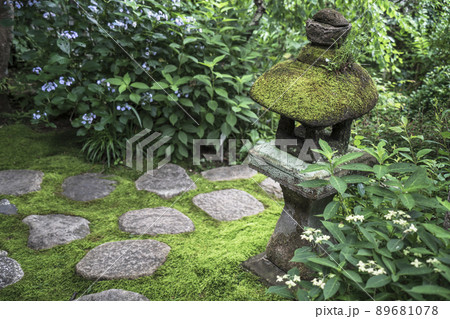 円覚寺の庭園【神奈川県・鎌倉市】 89681078