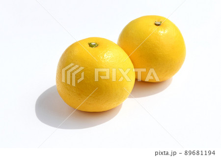 柑橘類（日向夏） 89681194