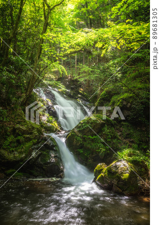 茨城県常陸大宮市　新緑の横川の下滝 89681305