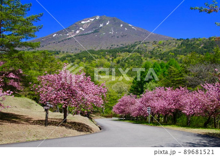 天鏡台の八重桜（福島県・猪苗代町） 89681521