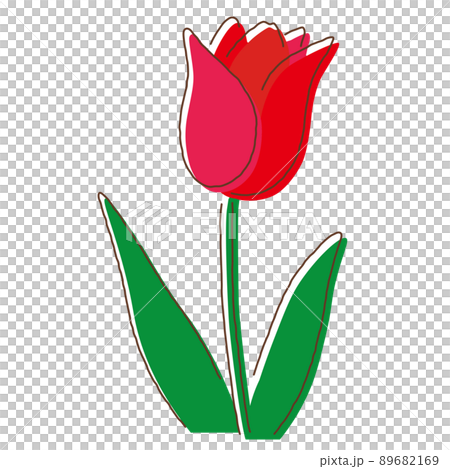 Tulip 89682169