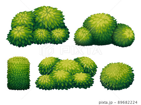 Collection of Green Bush Plant Collection of Green Bush Plant 89682224
