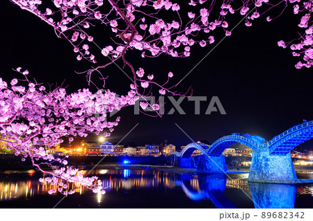 ライトアップされた桜と錦帯橋 山口県岩国市 ライトアップされた桜と錦帯橋 山口県岩国市 89682342