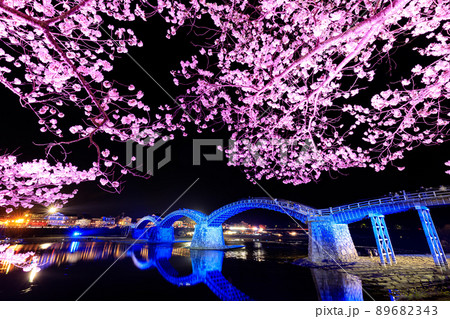 ライトアップされた桜と錦帯橋　山口県岩国市 89682343
