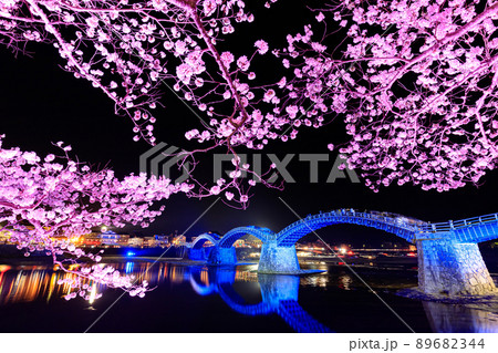 ライトアップされた桜と錦帯橋 山口県岩国市 ライトアップされた桜と錦帯橋 山口県岩国市 89682344
