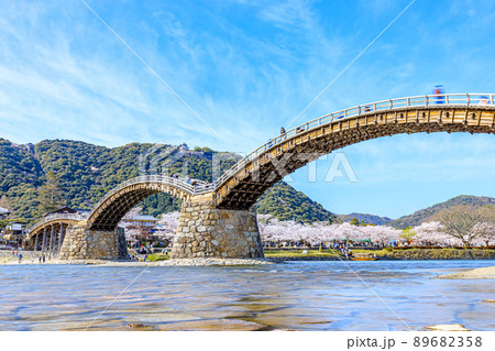 春の錦帯橋　山口県岩国市 89682358