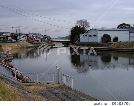 手賀川の風景 手賀川の風景 89682700
