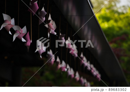 嵐山昇龍苑 嵐山昇龍苑 89683302