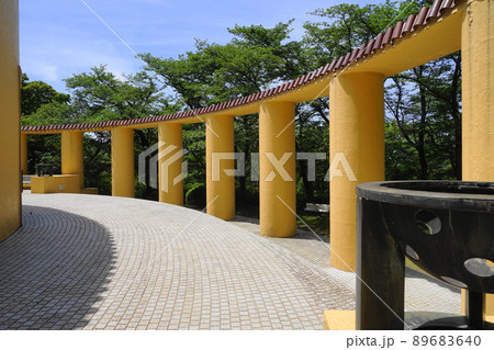 5月　多磨569旧多摩聖蹟記念館･都立桜ヶ丘公園 89683640