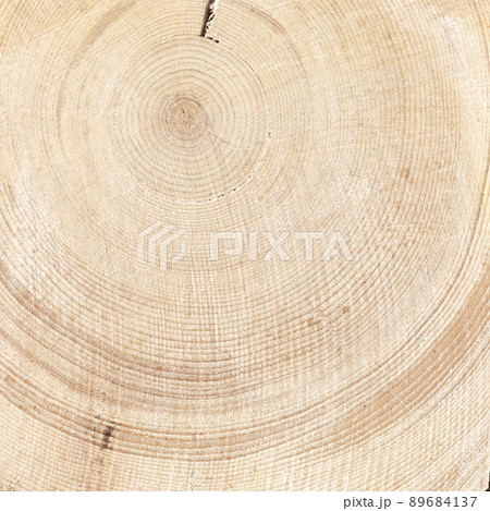 Seamless texture wood. Natural background 89684137