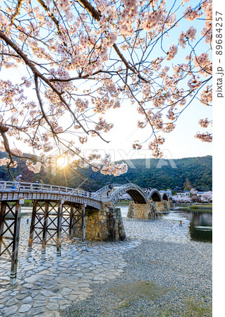 夕日と桜と錦帯橋　山口県岩国市 89684257