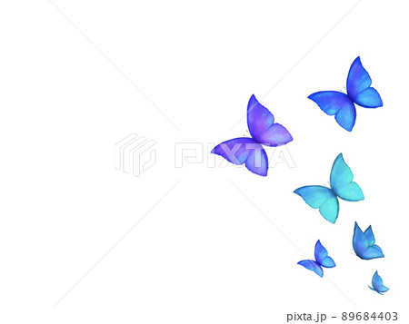 綺麗な蝶の水彩背景素材のイラスト素材