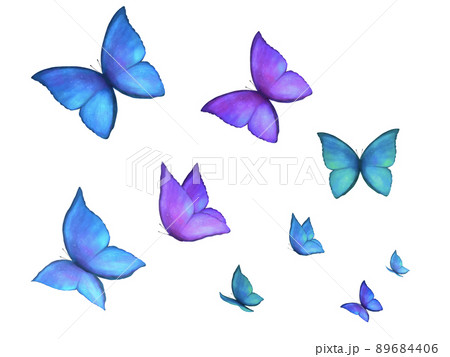 綺麗な蝶の水彩背景素材のイラスト素材