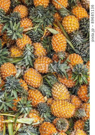 pineapple 89685136