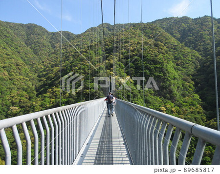 綾の照葉大吊橋 綾の照葉大吊橋 89685817