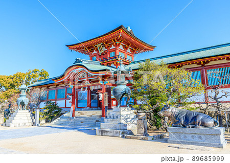 春の防府天満宮　山口県防府市 89685999