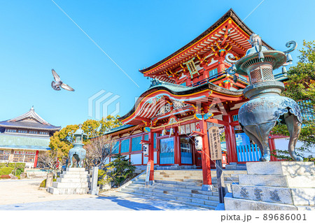 春の防府天満宮（ハトあり）山口県防府市 89686001