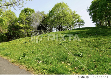 星観緑地で見晴らし山に登る・春 89686221