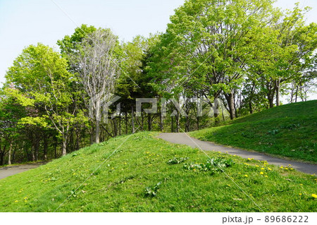 星観緑地で見晴らし山に登る・春 89686222