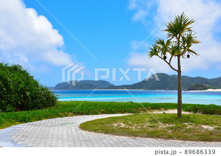 慶良間諸島 座間味島 阿真ビーチ 慶良間諸島 座間味島 阿真ビーチ 89686339