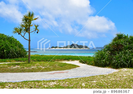 慶良間諸島 座間味島 阿真ビーチ 慶良間諸島 座間味島 阿真ビーチ 89686367