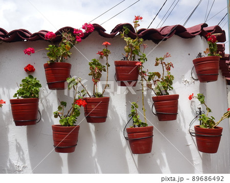 【ペルー】白い壁に掛けられたたくさんの鉢植え（クスコ） 89686492