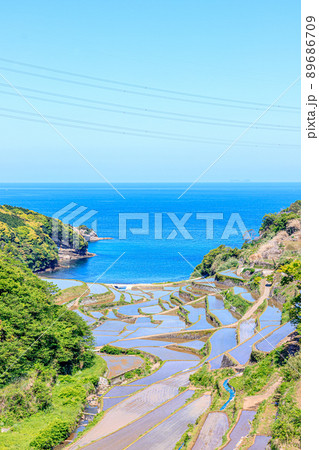 初夏の浜野浦の棚田　佐賀県松浦郡 89686709