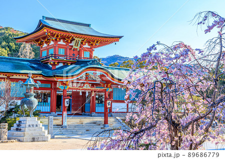春の防府天満宮　山口県防府市 89686779