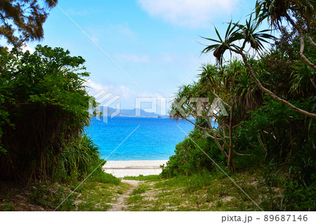 慶良間諸島　座間味島　古座間味ビーチ 89687146
