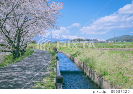 春の安曇野【北安曇郡池田町】 89687329