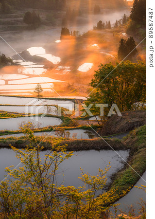 《新潟県》星峠の棚田・日本の原風景 89687487