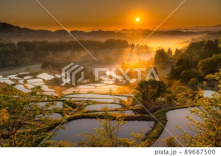 《新潟県》星峠の棚田・日本の原風景 89687500