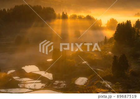 《新潟県》星峠の棚田・日本の原風景 89687519