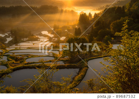 《新潟県》星峠の棚田・日本の原風景 89687532