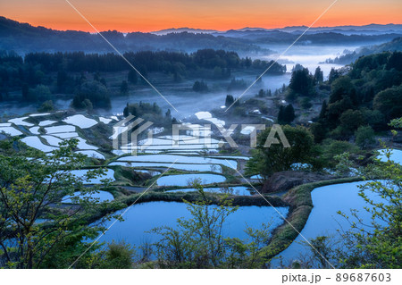 《新潟県》星峠の棚田・日本の原風景 《新潟県》星峠の棚田・日本の原風景 89687603