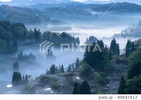 《新潟県》星峠の棚田・日本の原風景 《新潟県》星峠の棚田・日本の原風景 89687612