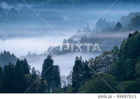 《新潟県》星峠の棚田・日本の原風景 89687613