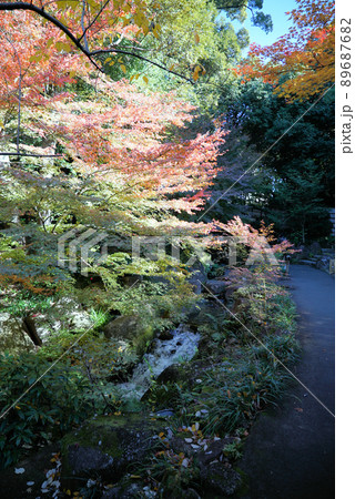 きれいな紅葉の徳川園 きれいな紅葉の徳川園 89687682