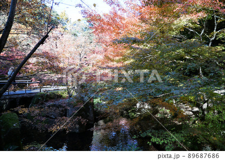 きれいな紅葉の徳川園 89687686