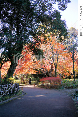 きれいな紅葉の徳川園 きれいな紅葉の徳川園 89687691